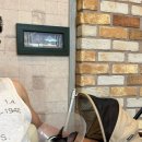 더보스톤치과병원 | 부산 지동범 동물안과치과병원 안과정밀검진 후 백내장 수술과정 : 게스트 하우스 이용후기