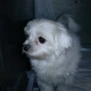 홍제역3번출구 이미지