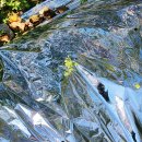 오전애마을 이미지