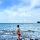 팜스쿡 | [하와이] Part.2_) 하와이 10박11일 자유여행, 여행일정[카할루우비치->다포케쉑->투스텝비치]