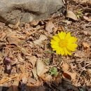 치유농장 연원당 이미지