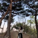 강동면-1 | 강릉 스테이인터뷰 감성 숙소 예약 1박 가격 스탠다드 객실 후기