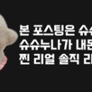 맘스마인드 트레이딩 이미지