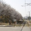 곡율 네이버블로그