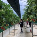 문백농장 이미지