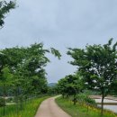 낙동강 자동차정비 이미지