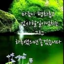 미나님 이미지