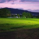 도그엔젤 이미지