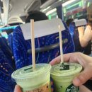 대불약국 | 💕후쿠오카 2박 3일 여행 후기