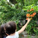 대명산장어 이미지