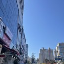 바보찐만도 이미지