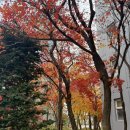 밴소프트(주) | 이번주 기록.