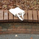 봄비어린이공원 이미지