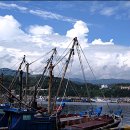 장호2리 이미지