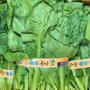 늘갓농장 이미지