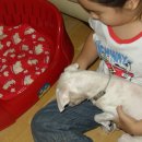 루루베리 이미지