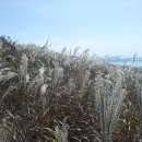 엄마요양병원 이미지