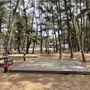 몽산포 야영장 이미지