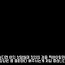 홀리트리