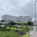 학생수영장 | 명지 학생안전체험관 수영장 주말자유수영 이용방법 후기