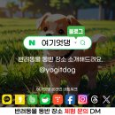 여기엇댕 이미지