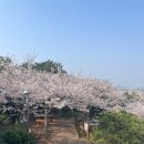 바다품은달 이미지