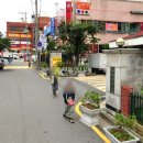 원적로 3 이미지