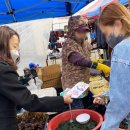 영산포풍물시장 이미지