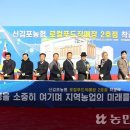 신김포농협로컬푸드