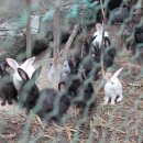 월출산 약초농산 이미지