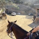 시티홀카프라자 | 서부여행 신혼여행 2일째_선셋랜치할리우드, 뉴욕시청 시티홀, 그랜드센트럴마켓, 산타모니카, 미트온오션