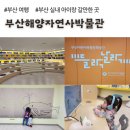 sos박물관 | 부산해양자연사박물관 들락날락, 예약 필요 없음 (부산 실내 아이랑 갈만한 곳)