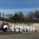 추억의박물관 | 서울국립민속박물관 추억의 거리 다녀온 후기 (아이랑 가볼만한 곳 추천)
