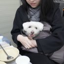 삐삐수산