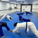 팀크로우 유도(오산) 이미지