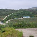 사월큰길(임동면) 이미지