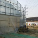 제1신명농장 이미지