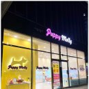 부산강아지분양 퍼피몰리 이미지