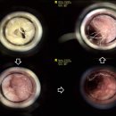 유기화동물의료센터 이미지