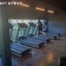 애니멀짐PT 이미지