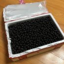 봉덕농장 이미지