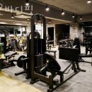 라온바디핏 이미지