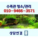 명동수족관