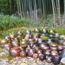 대나무골 이미지