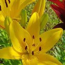 다온호텔(무인텔) 이미지