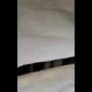 민원농장 이미지