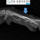호명동물병원 이미지