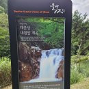 신정약초 | ★울산광역시 울주군 대운산 등산 후기★