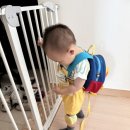 동래덤프 이미지