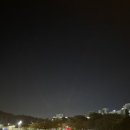 연예인노래팡팡